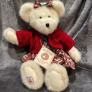 Erica Cherrybeary Boyd’s Bear - The Head Bean Collection